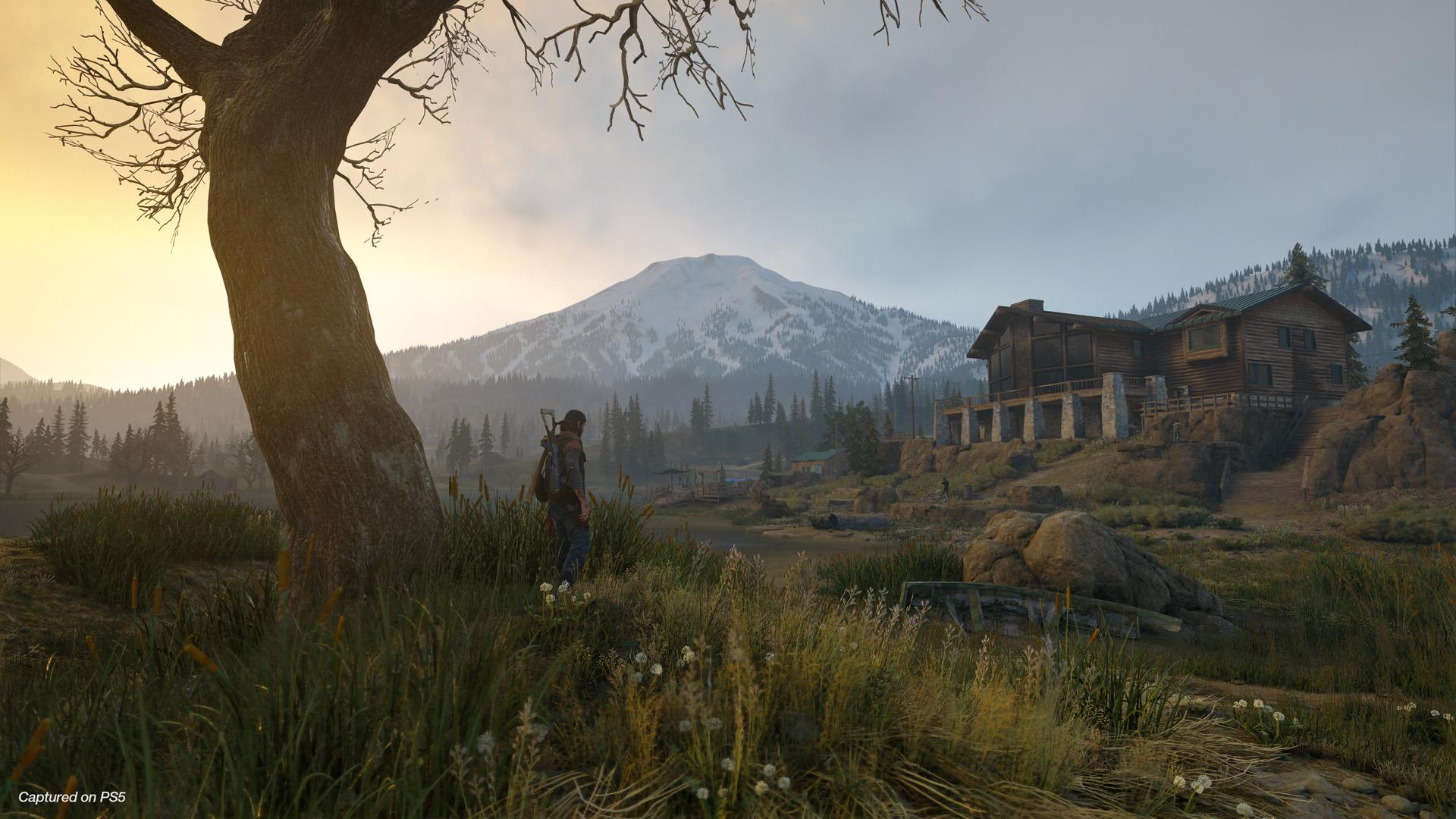 Days Gone — تصویر 2